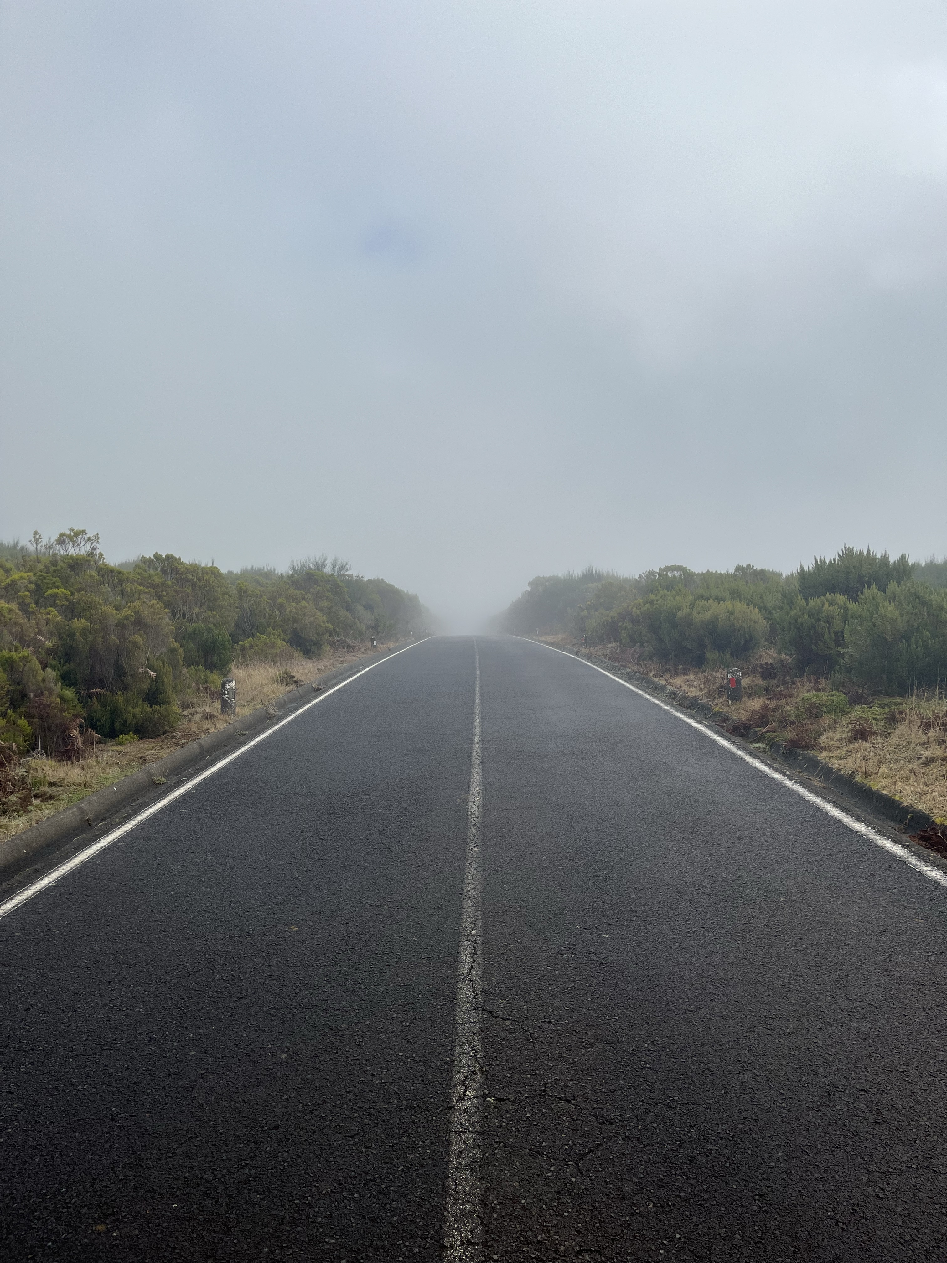Photo: Foggy Road Near the Fanal Forest, Madeira