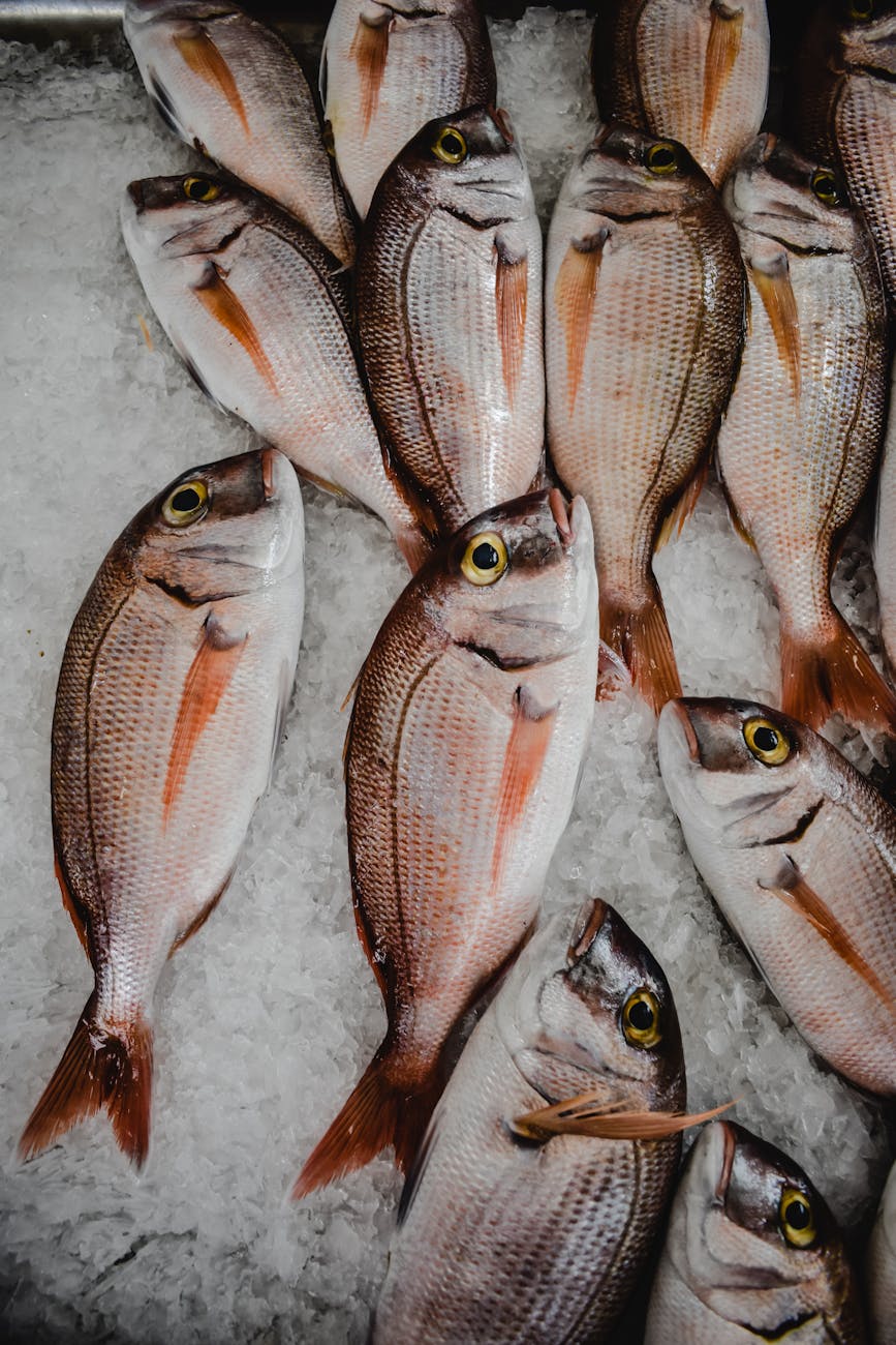REPOST: Top 10 local foods you need to try in Madeira
