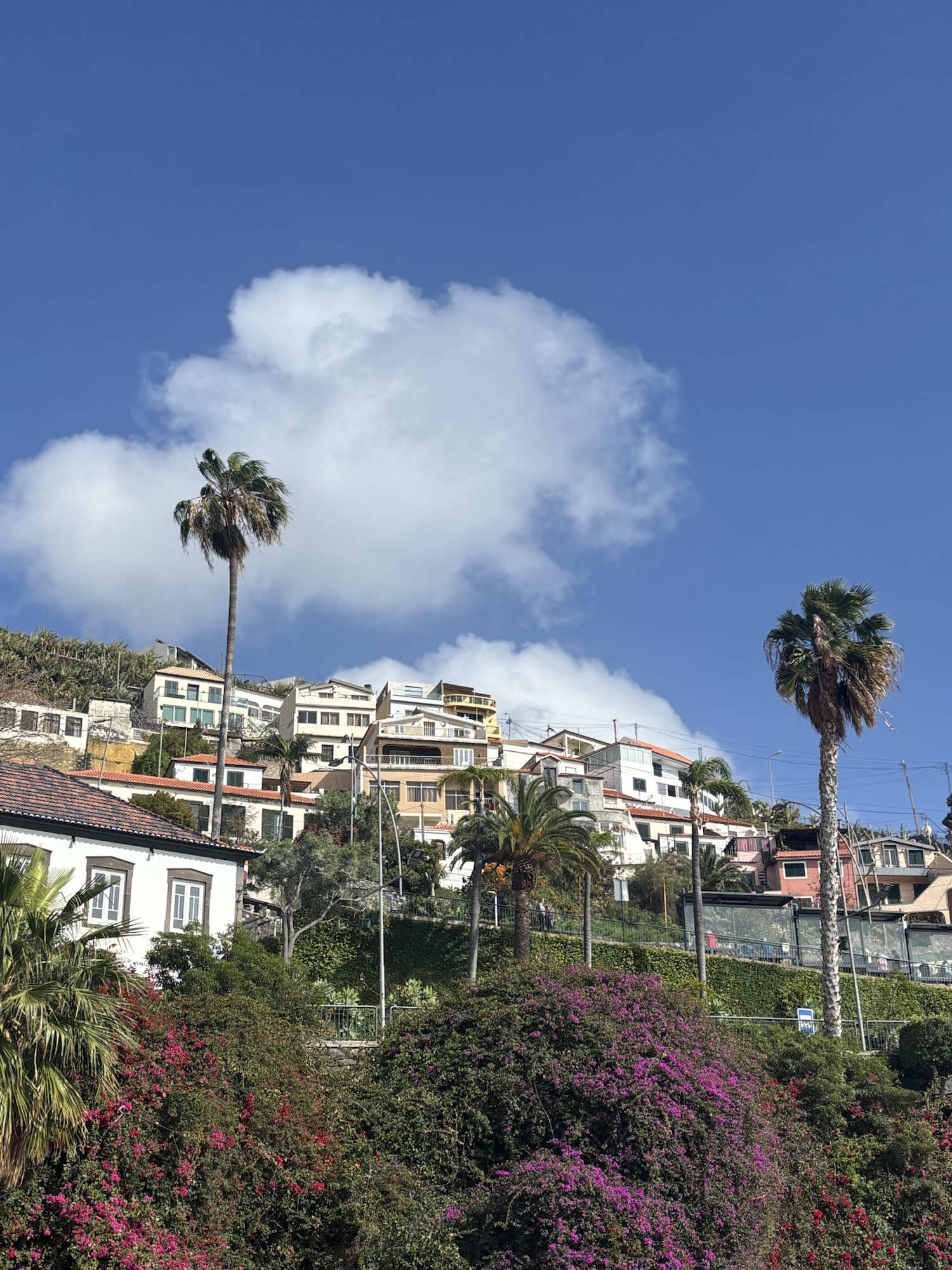 Madeira Travel Journal